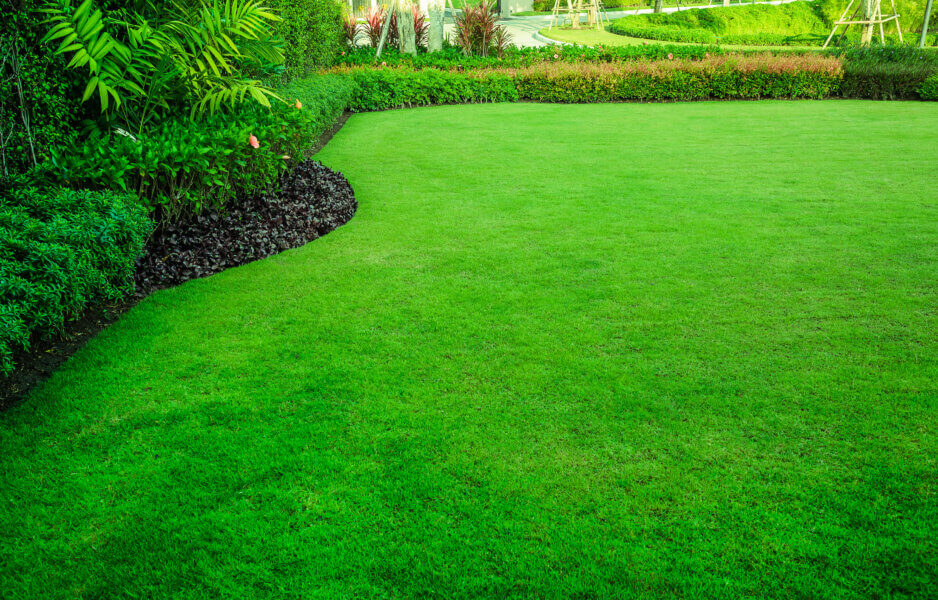 Sod Installation