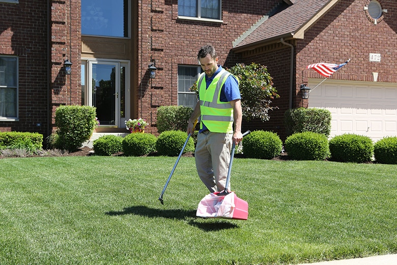 dog clean up service