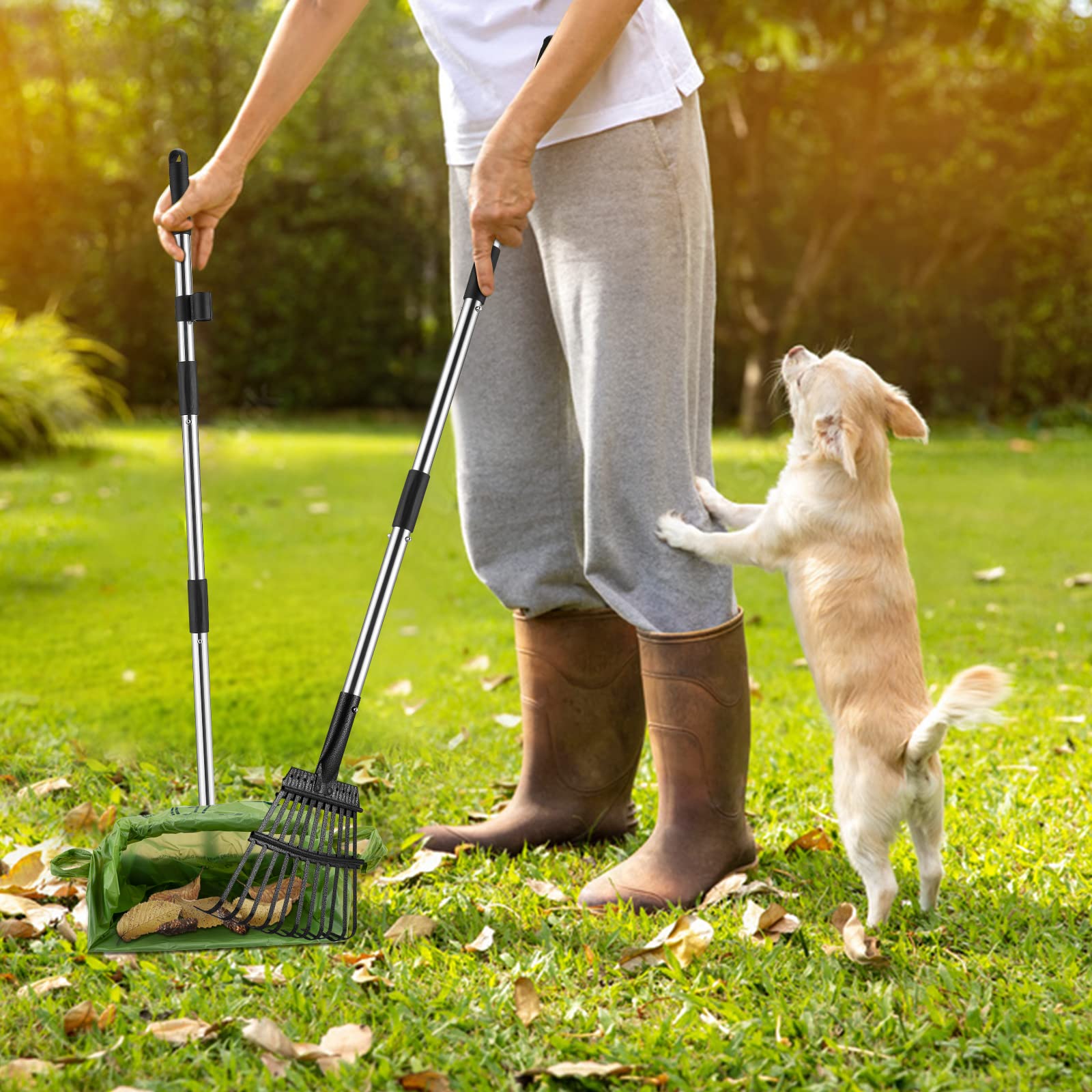 dog poop cleanup