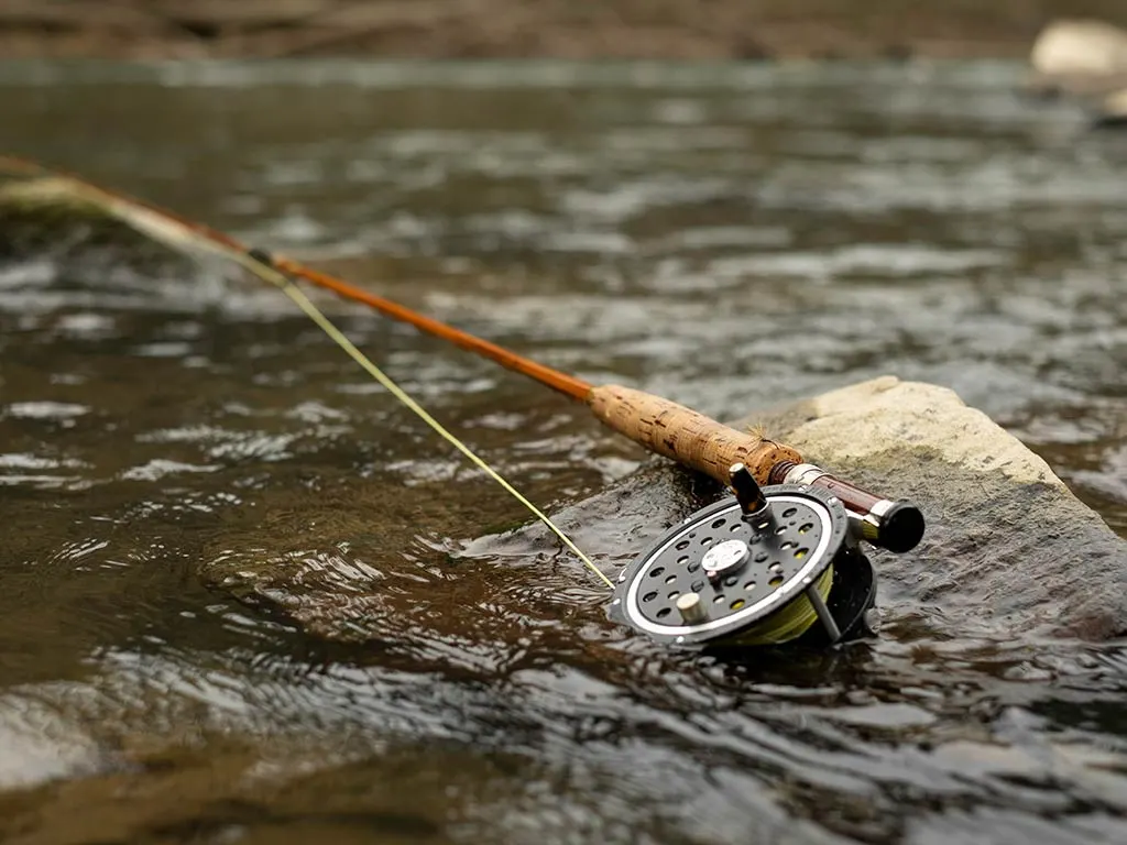 best fly fishing rods