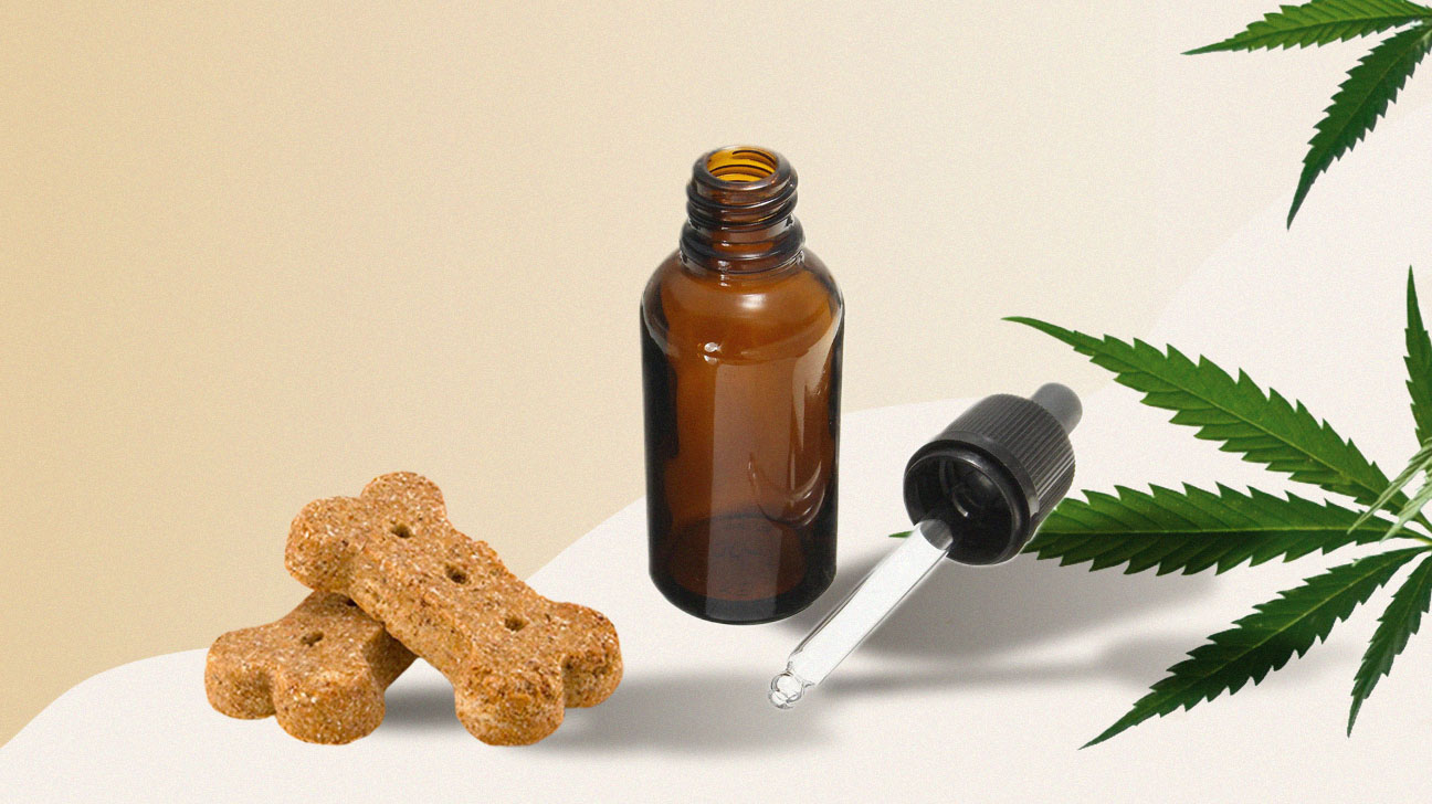 CBD Cream Canada