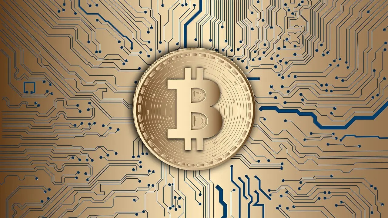 sustainable crypto projects